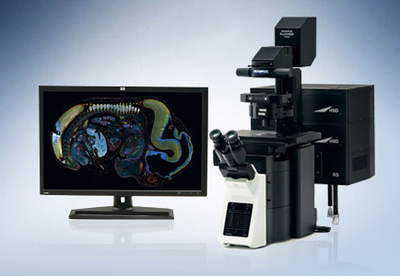 激光共聚焦显微镜系统